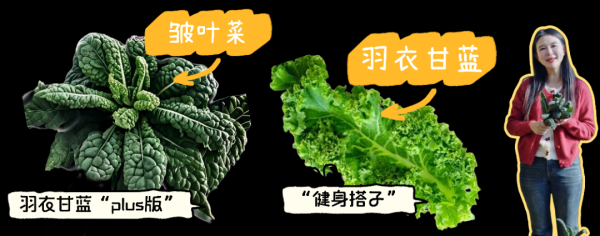 欢乐过大年·乡“亲”京郊行｜“百洁布菜”“健身搭子”……这些高阶刮油菜，你吃过吗 ？