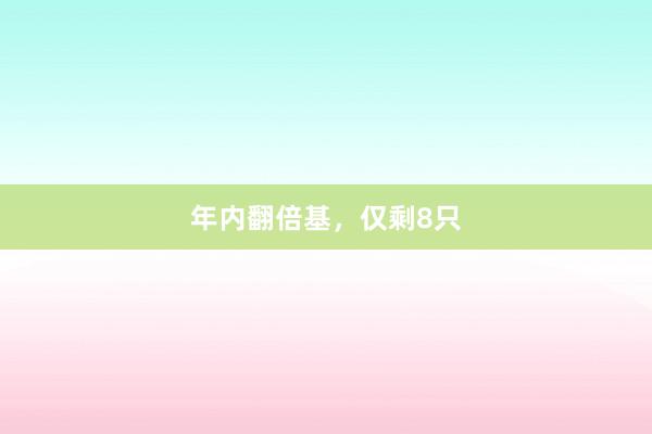 年内翻倍基，仅剩8只