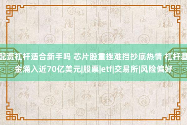 配资杠杆适合新手吗 芯片股重挫难挡抄底热情 杠杆基金涌入近70亿美元|股票|etf|交易所|风险偏好