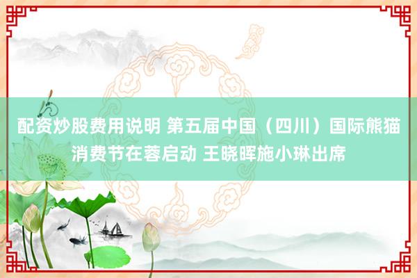 配资炒股费用说明 第五届中国（四川）国际熊猫消费节在蓉启动 王晓晖施小琳出席